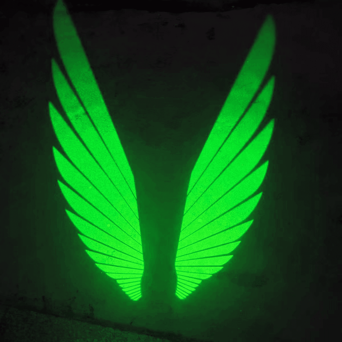 Angel Wings Puddle Lights Universal